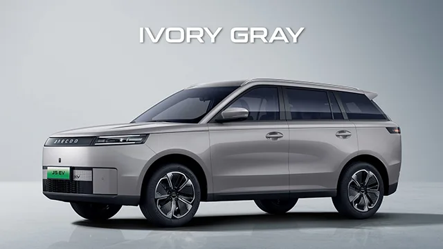 Ivory Gray